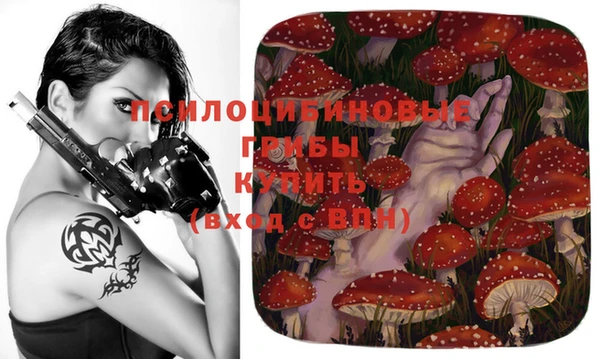 бутират Алексин