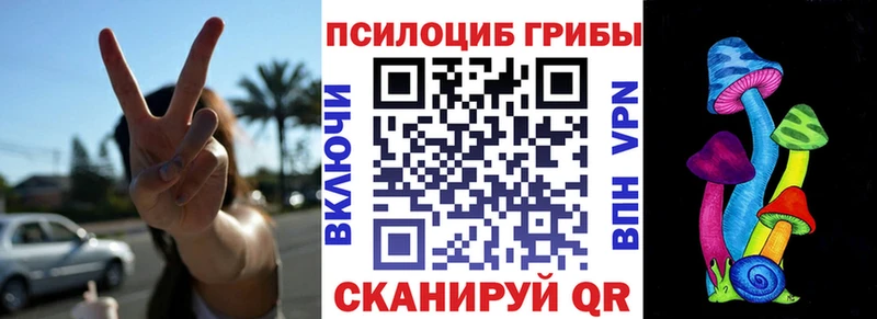 Галлюциногенные грибы ЛСД  закладка  мега маркетплейс  Новая Ладога 